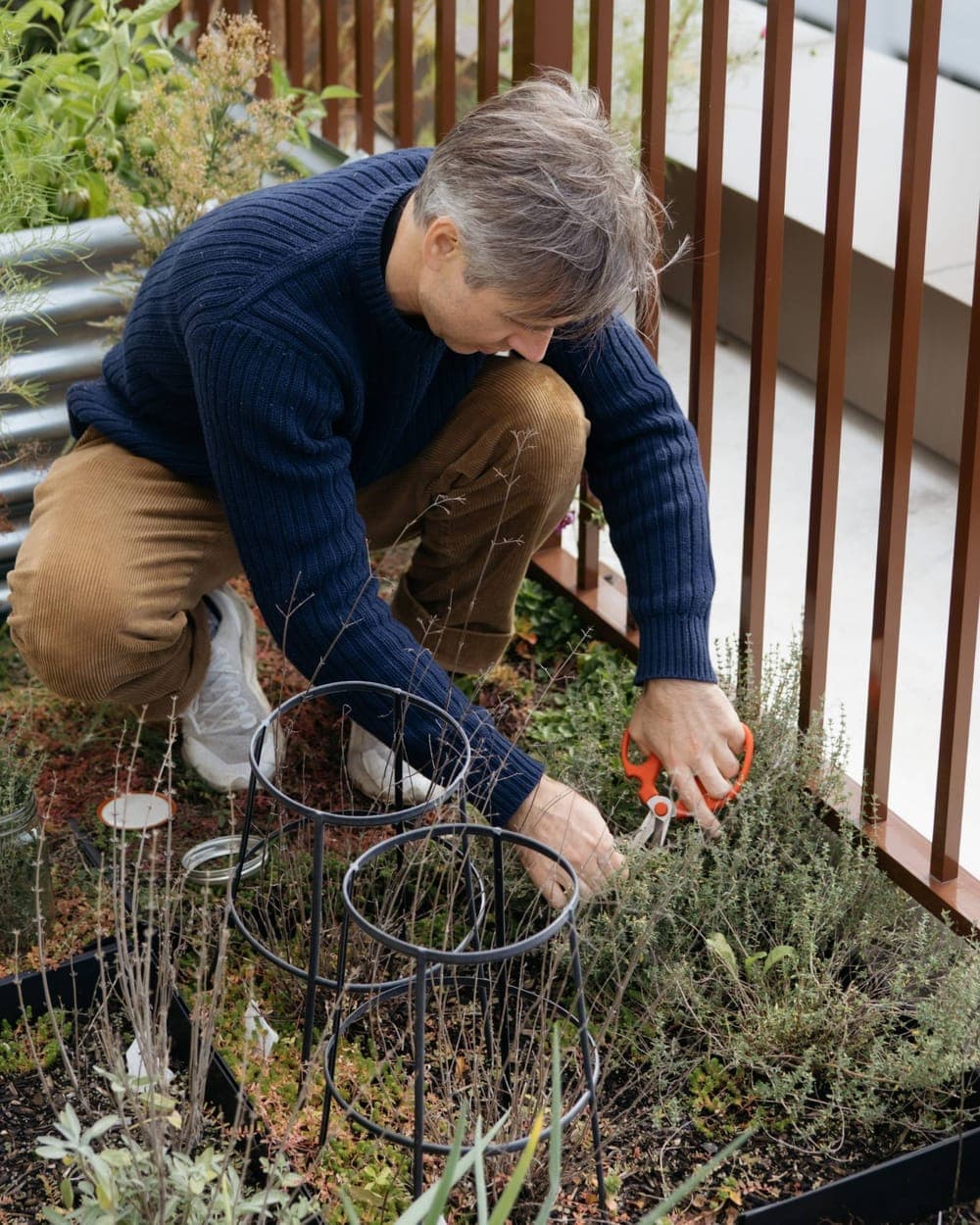 Andreas kneeling in the rooftop garden, trimming thyme